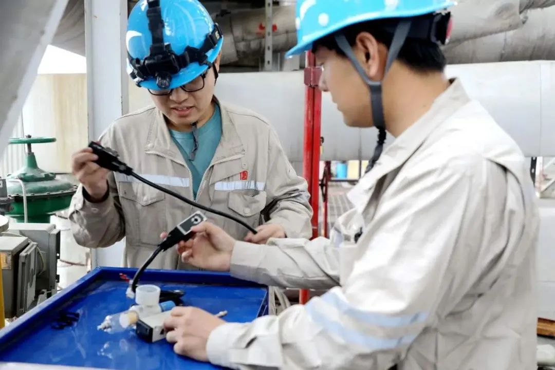 1705626224126051164.jpg 丰1.jpg