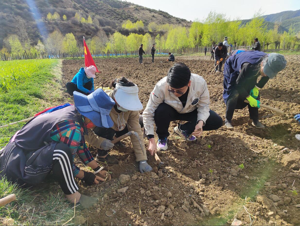 1683612670970070735.jpg QQ截图20230509141602.jpg