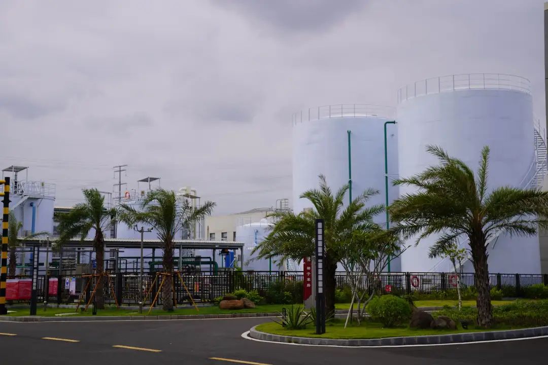 1730095846386091333.jpg W.jpg